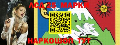 скорость Гатчина