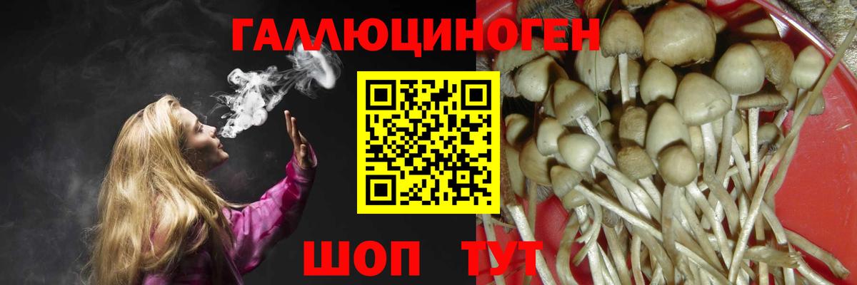 Псилоцибиновые грибы мицелий Мытищи